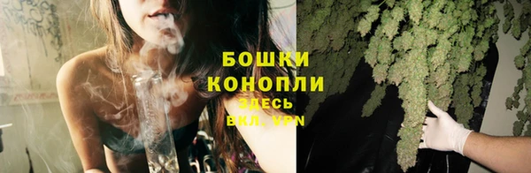 СК Новодвинск