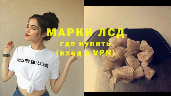 СК Новодвинск