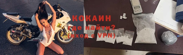 шишки Новозыбков