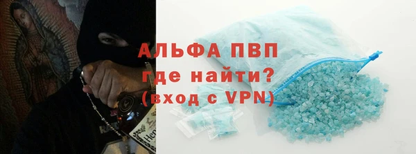 шишки Новозыбков