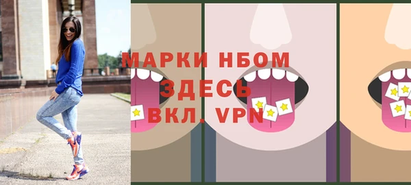 СК Новодвинск