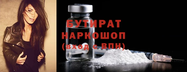 шишки Новозыбков