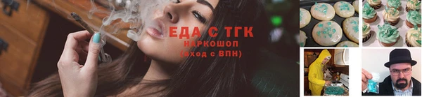 СК Новодвинск