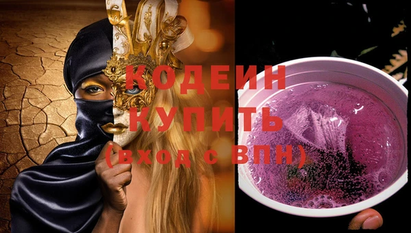шишки Новозыбков