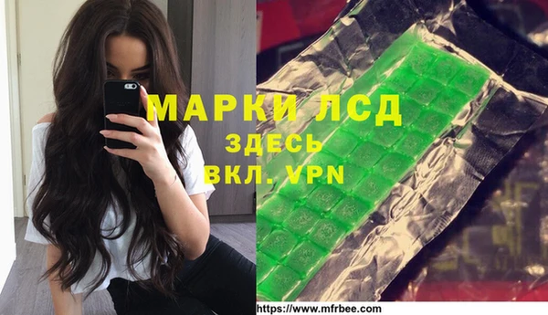 СК Новодвинск