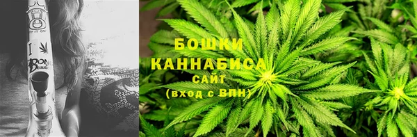 СК Новодвинск