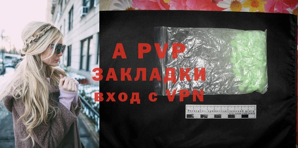 шишки Новозыбков
