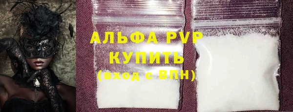 шишки Новозыбков