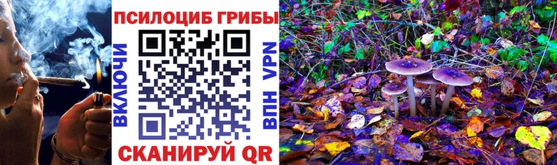 Купить где  Нязепетровск  Псилоцибиновые грибы прущие грибы 